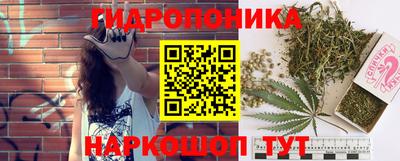 спайс Баксан