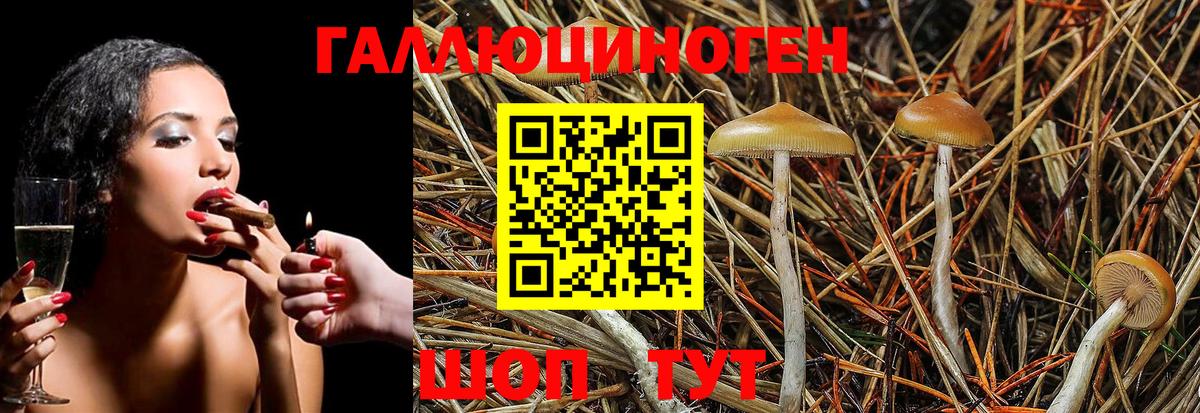 Псилоцибиновые грибы Magic Shrooms Елец