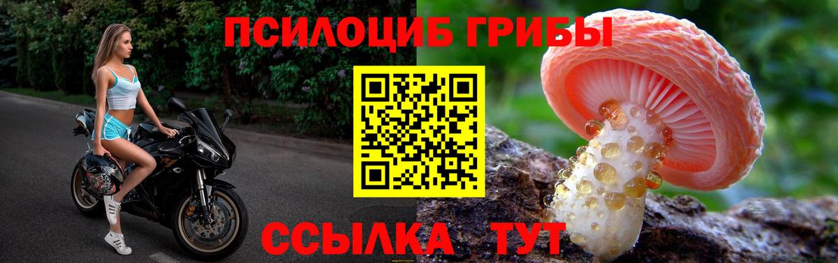 Елец  Галлюциногенные грибы GOLDEN TEACHER  Вход с VPN 